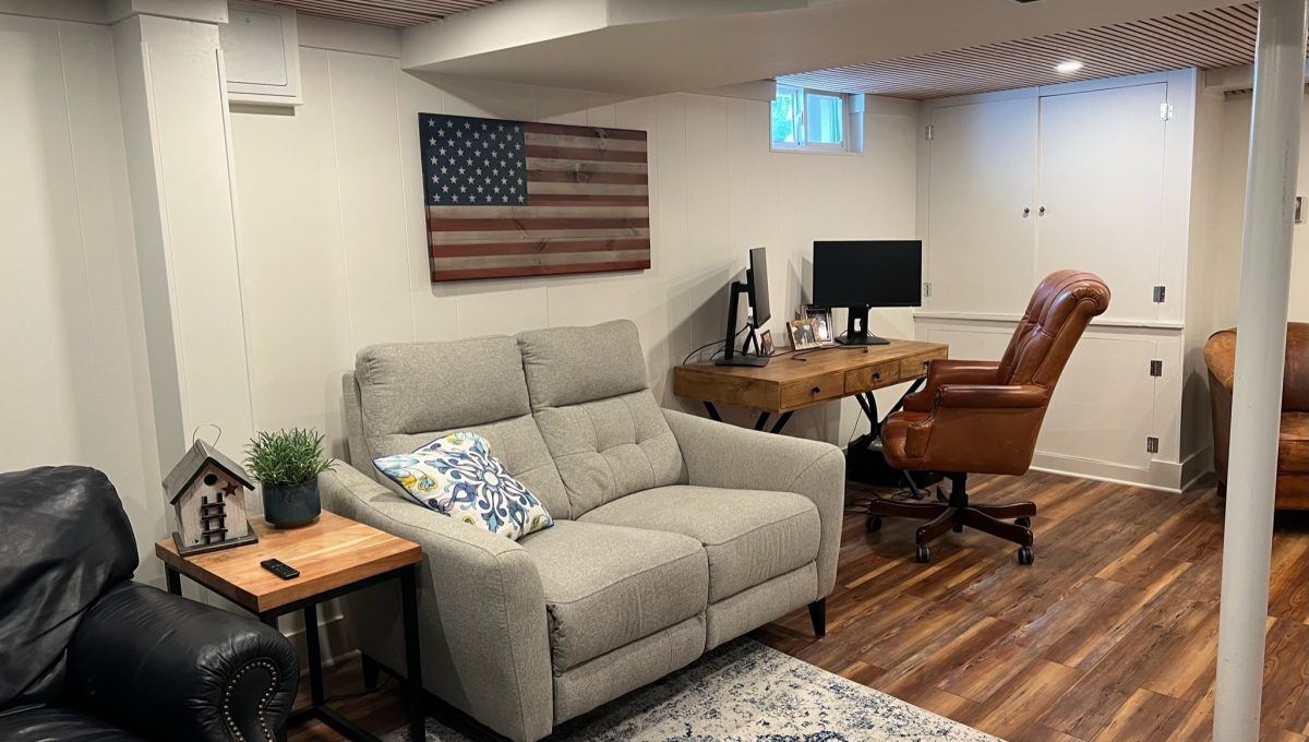 HD_1744752612424_Basement2